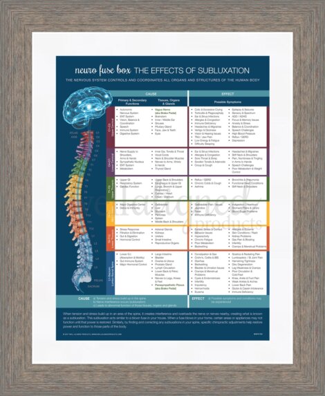 chiropractic meric chart poster fuse neuro nervous system patient education modern spine brain