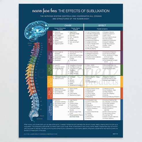 chiropractic meric chart poster fuse neuro nervous system patient education modern spine brain