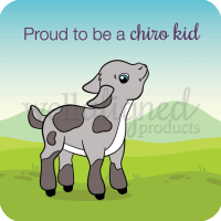 Chiro Kids Stickers