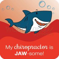 Chiro Kids Stickers