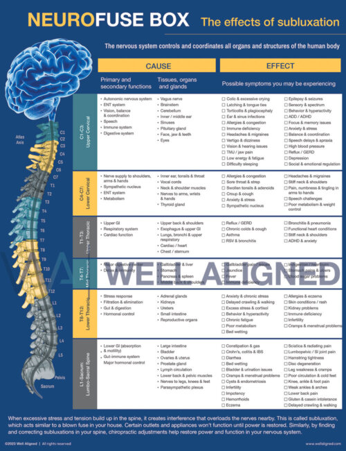 Neuro Fuse Handouts (NEW!) - Well Aligned